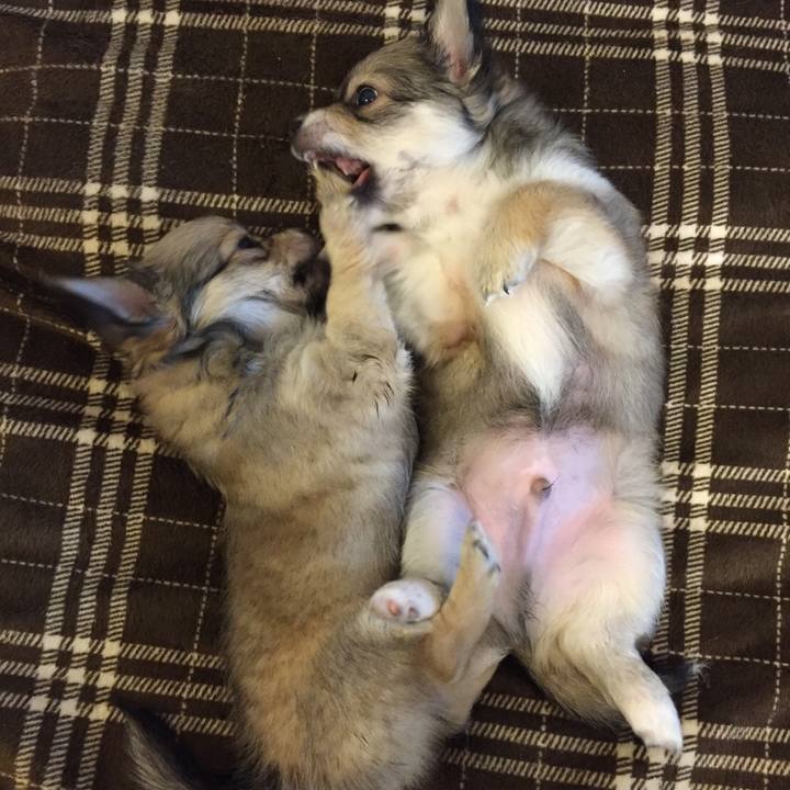 059b9f08 4c9f 4735 b1f1 abefdc5aa811