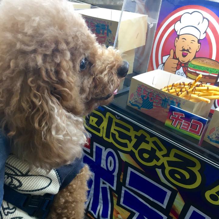 059bb912 9318 4808 9eb4 cdb9fc359d4e