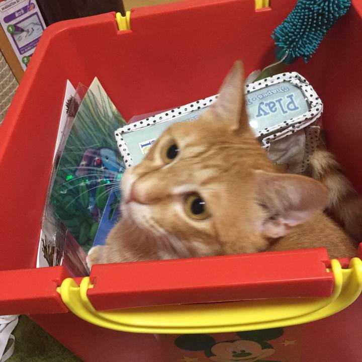 059c2033 2f69 4f24 8c15 7eec1ea5fab7