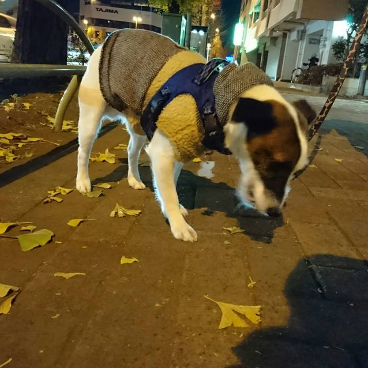 059c42a7 37a1 4b18 b281 bbd44735f5c5