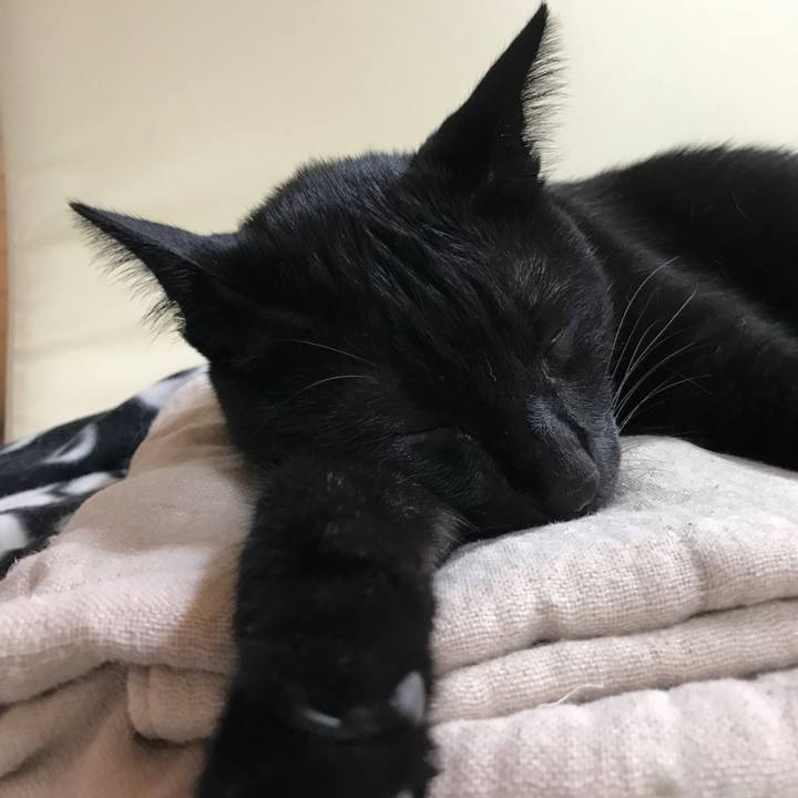 059c4480 398b 40d3 9ef2 db7dbf17ff89