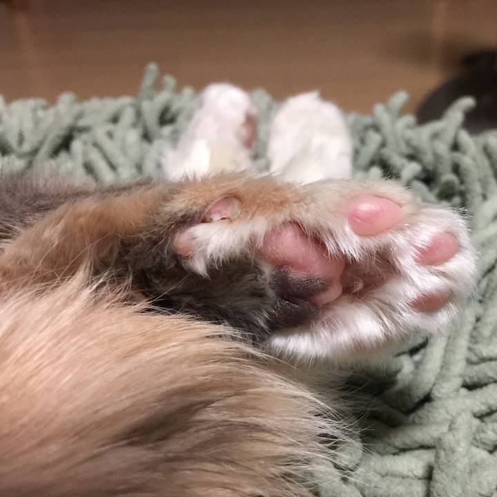 059de249 f693 4077 b2a4 ae7f1c3ef7ee