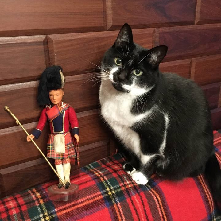 059e5ce3 5bef 4a17 8b5f 978a9d534072