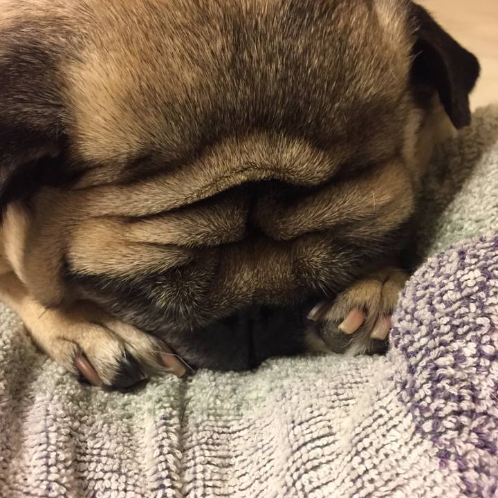 059e7457 f357 4647 89eb 21a96d3507af