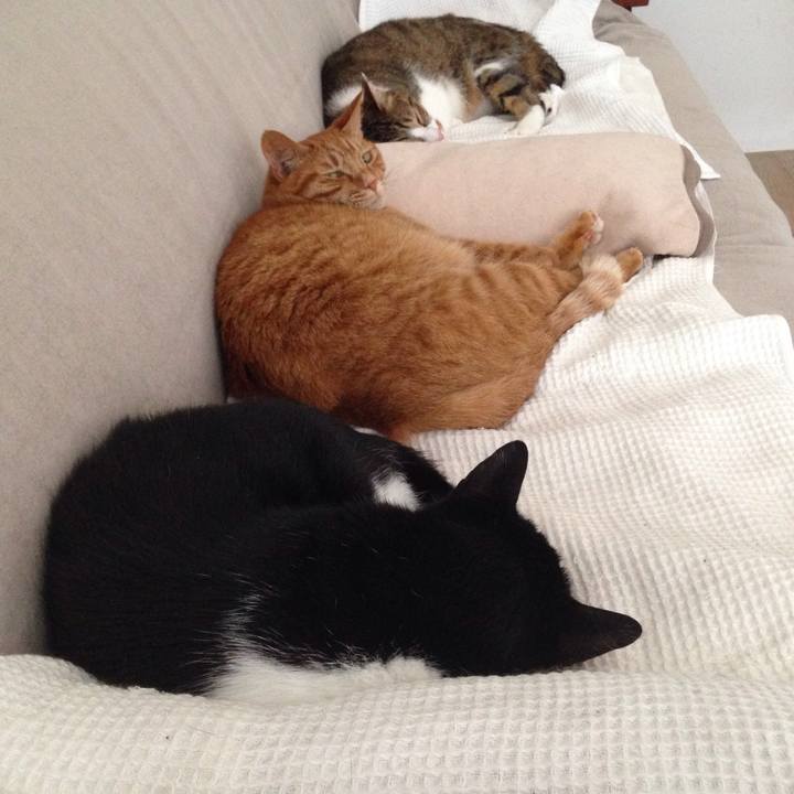 059e82db fa3a 4690 a3f6 4308952f2f11