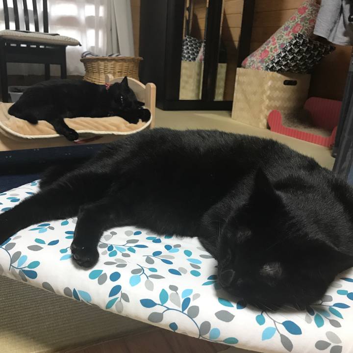 059f256d 0d02 4d81 a48b 8a243175c093