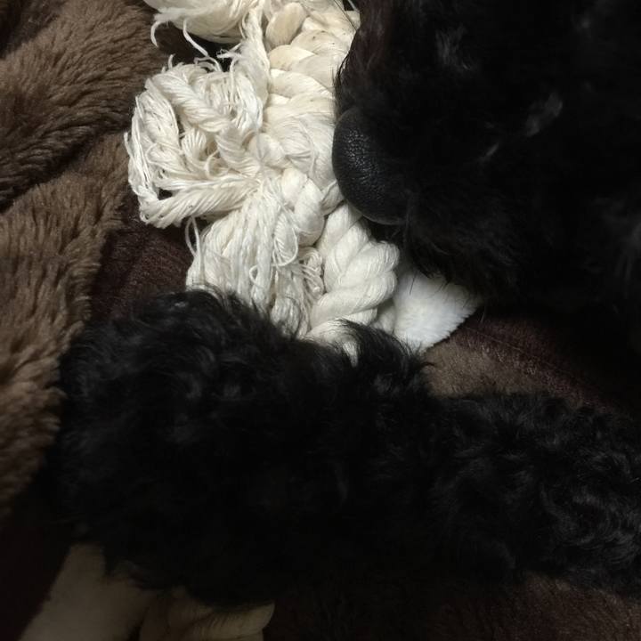 059f68bd b736 46c9 8f75 23f64ea0add6