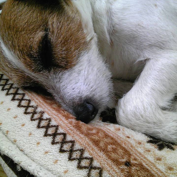 05a038d7 9e16 4956 b821 e2407b92a395