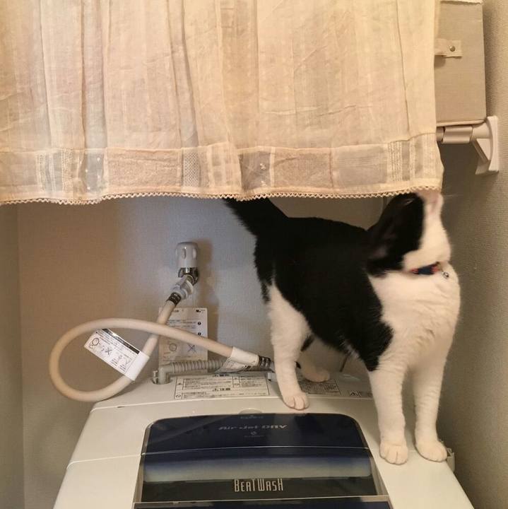 05a0415c e26b 4d21 82b3 b7f719bf4ddd