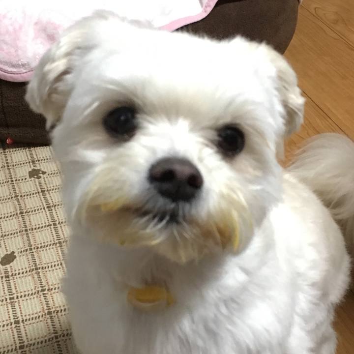 05a07c8e 3c55 47e2 aa10 b2350e4f2a41