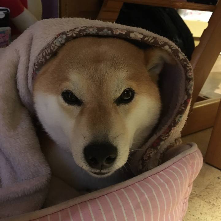 05a1b25c b521 49b3 b058 b6b0ed59b298