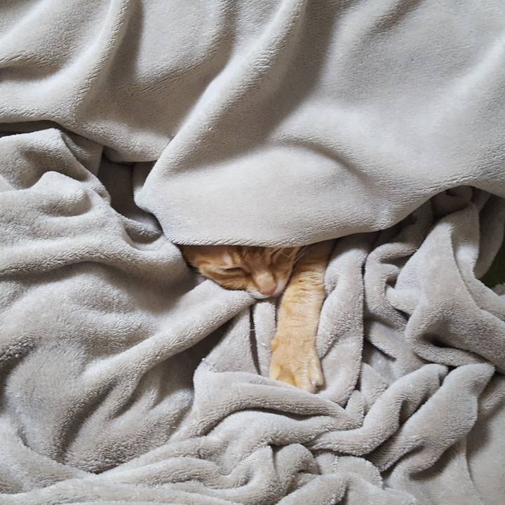 05a24bcd f35d 49e1 a703 3a2d50ea553c