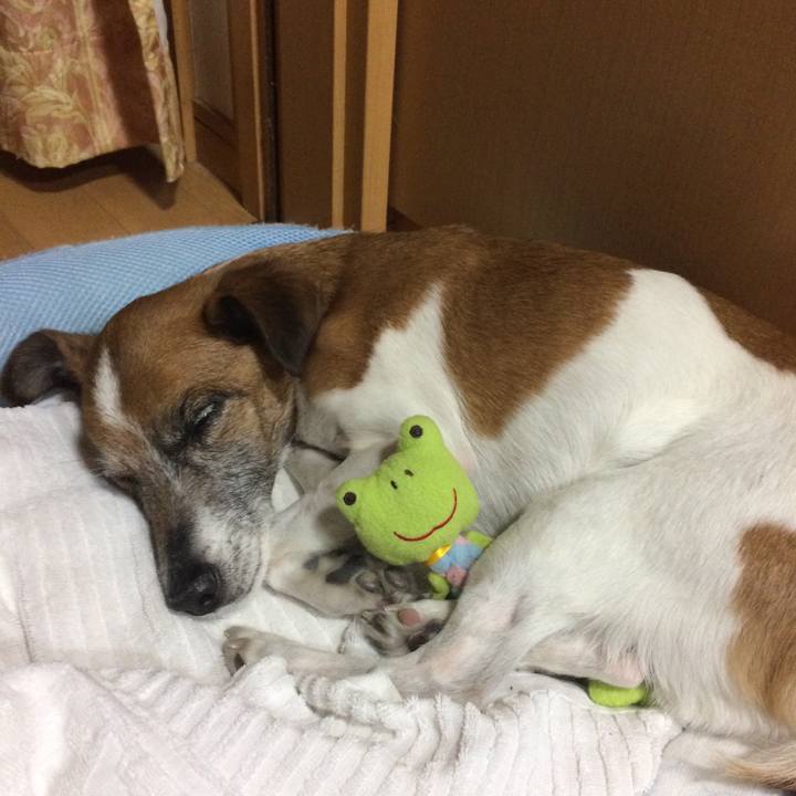 05a24cd2 d46d 42aa 8cc5 21e3d237c5eb