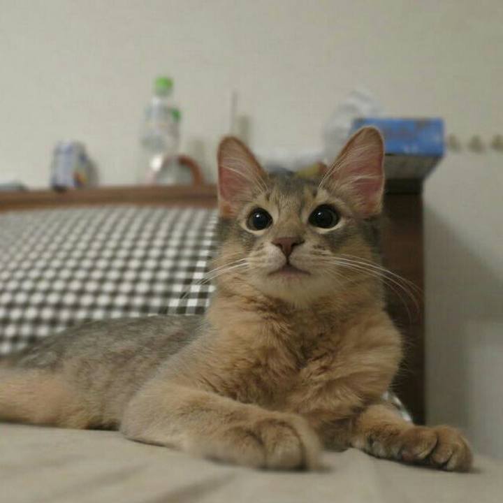 05a28844 1167 47bf 9a5e 33ebed52190a