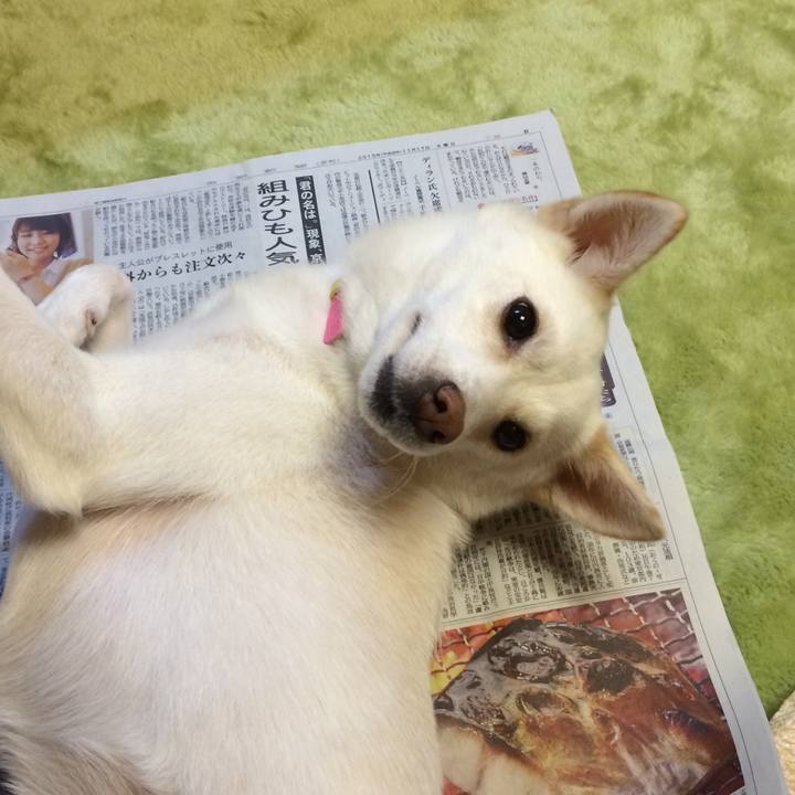 05a3bd70 7487 4b67 afb7 1f40b30f5161