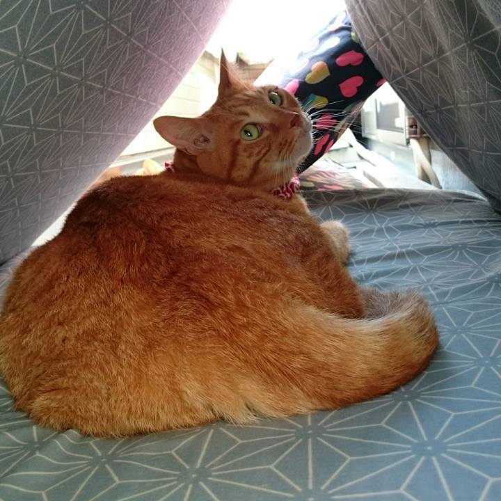 05a49a28 e8f1 44f3 97a8 1c1505283496