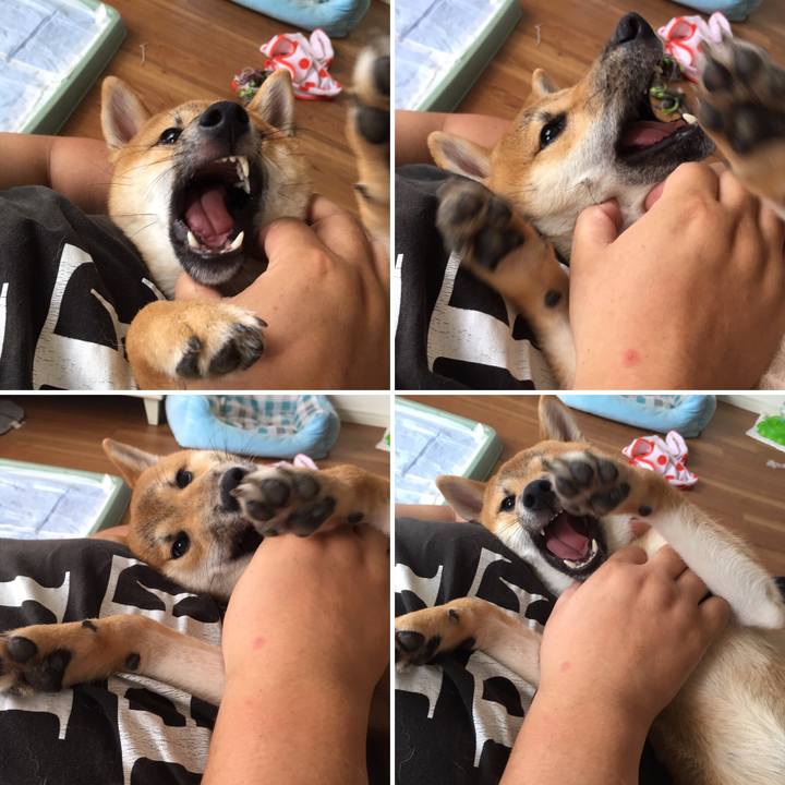 05a4b7ce c1d2 4398 be9f 7d06121c0423