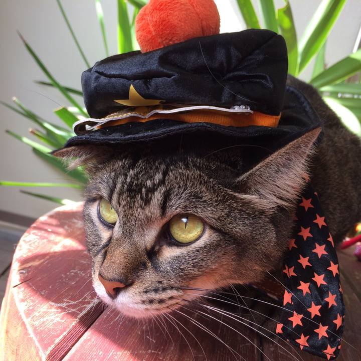 05a4c234 a19a 454c 9b13 a14d5913d211