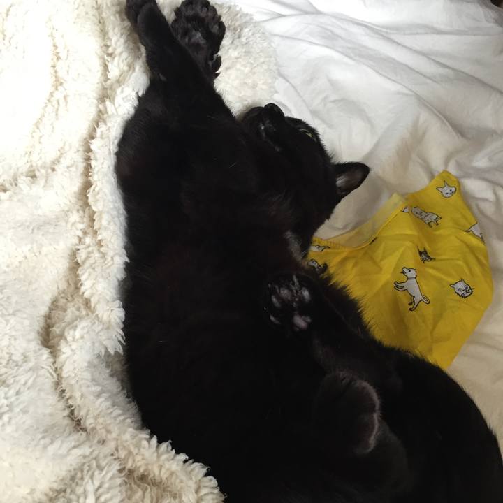 05a56e72 2460 4b70 bcf8 91707ca1e059