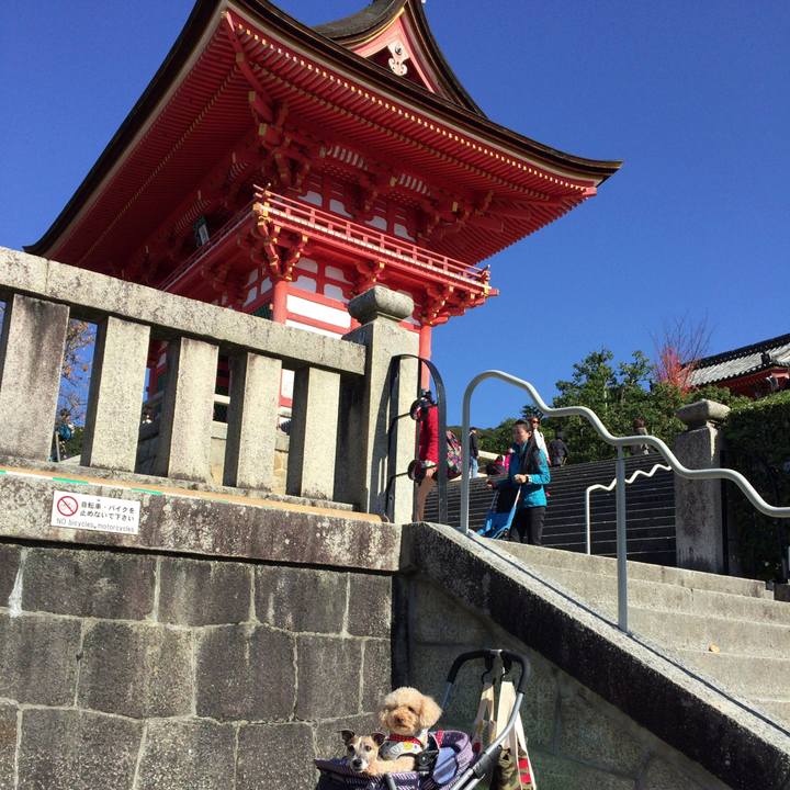 05a5746a caee 42b3 a24d 40c8df2bde2e