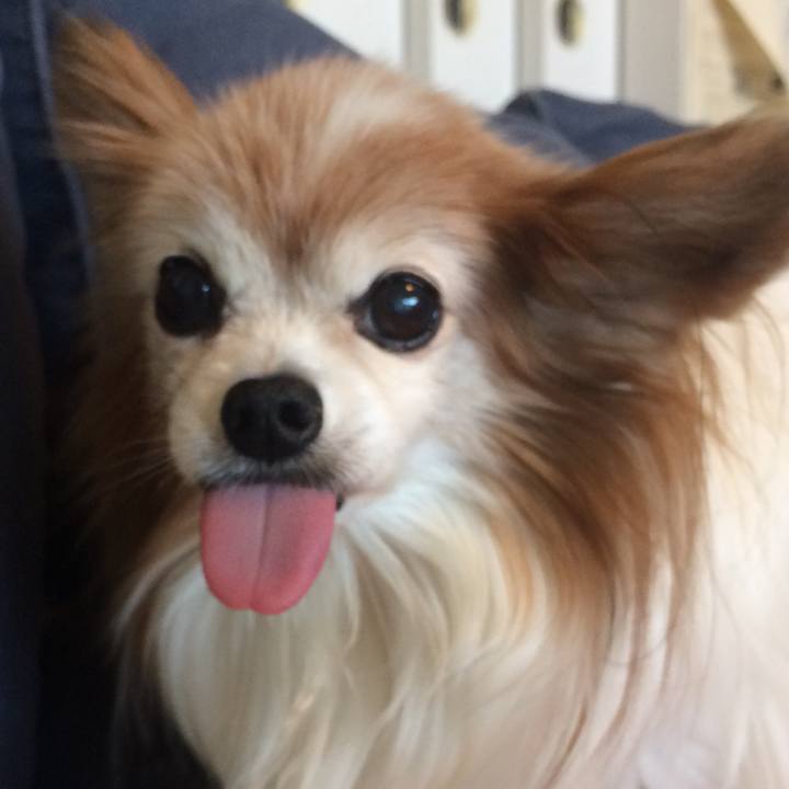 05a59084 1fbe 42ef a3ab fbea8634f62c