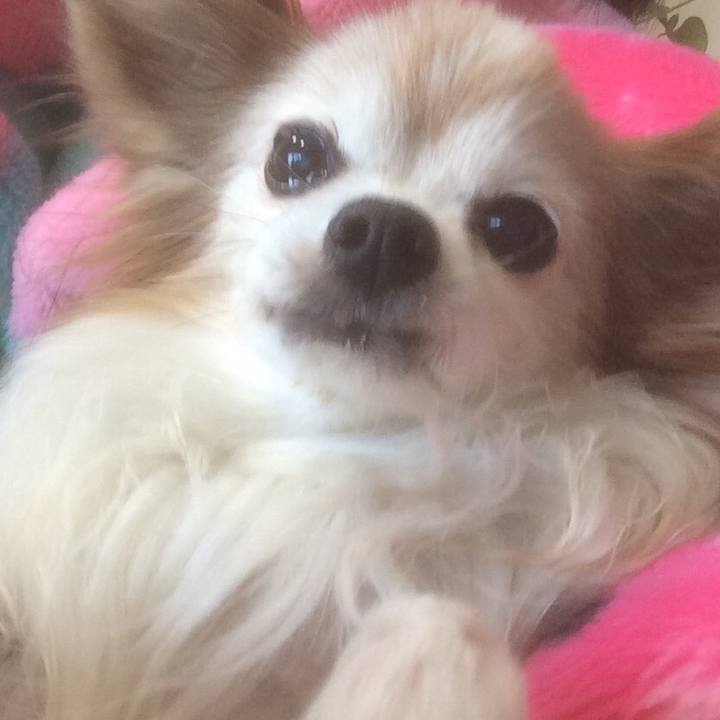 05a65287 6dea 481a b491 9f53cbe8c476