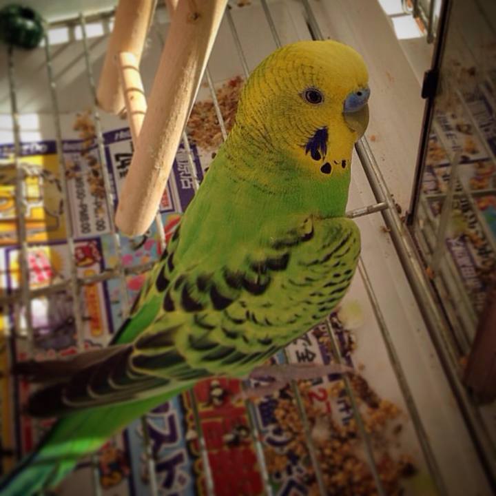 05a68a74 a97e 47c1 84f7 3a03cda2cfe5