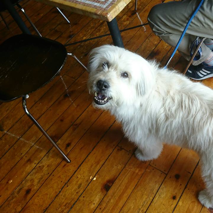 05a6c446 97c5 449c 8d04 d349f46ef4a9