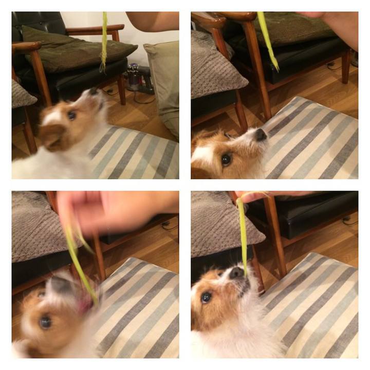 05a7141f 6bed 4af9 ab46 7fbb6db6525c