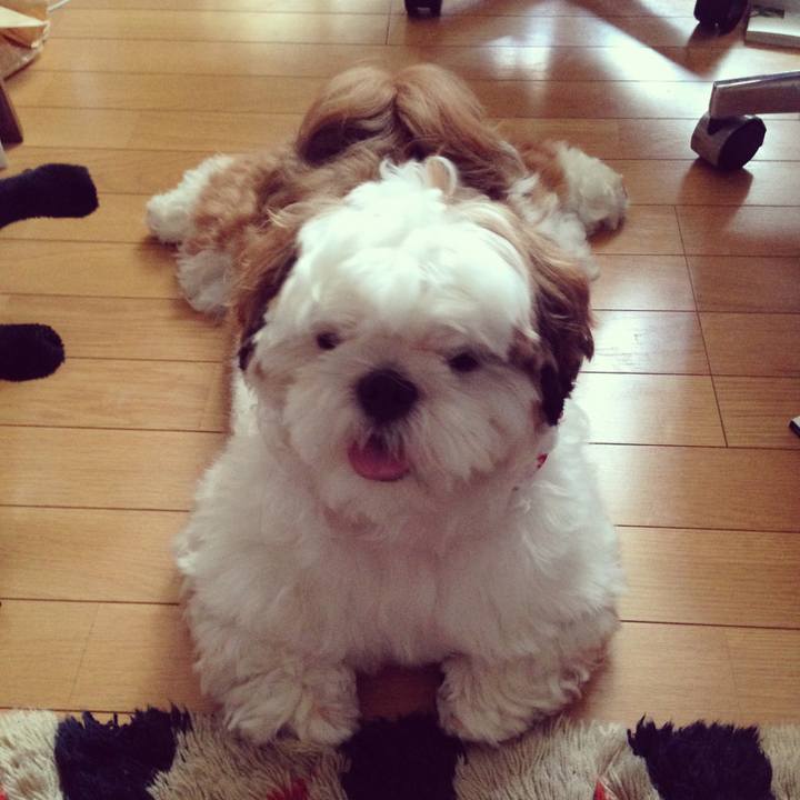 05a7b7d1 d947 4f49 9b0b 129ebc653be2