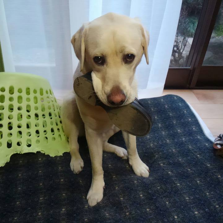 05a9c403 d5f8 4d26 84e0 309c9dade380