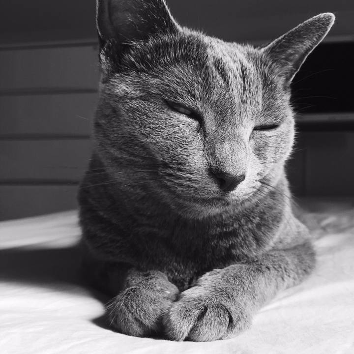 05aa8aa2 d321 42bb a40b c2fc6401e9ba