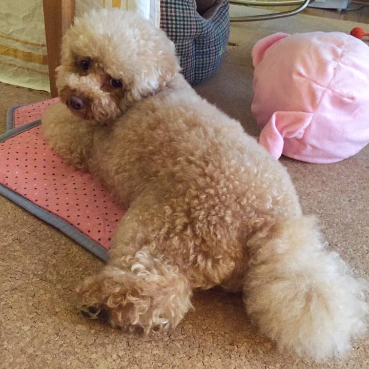 05ab0bf5 4bee 453f b73f cf7cc8a69674