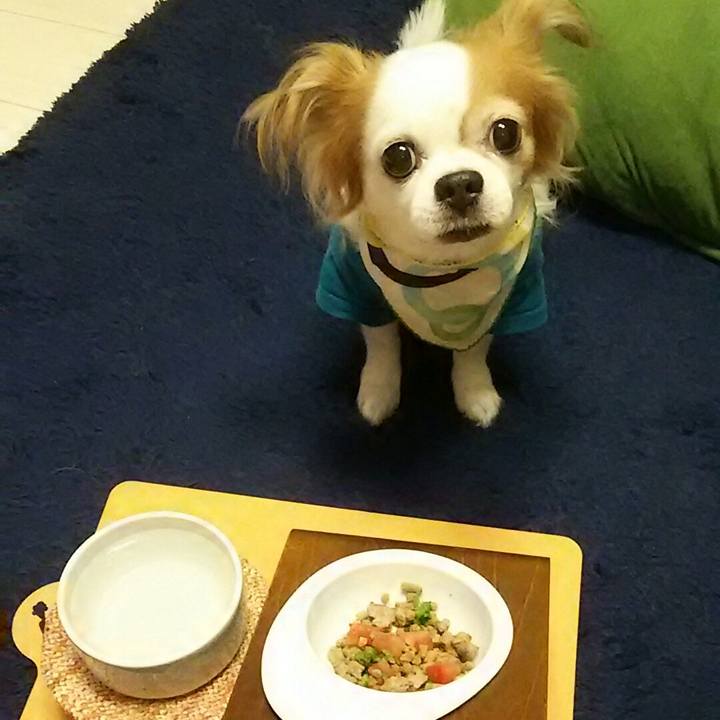 05ab2099 74ab 4ec8 be49 68be45ed4a99