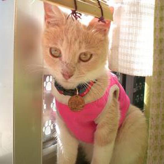 05ab8c74 b185 47d7 a18c ecac2d099942