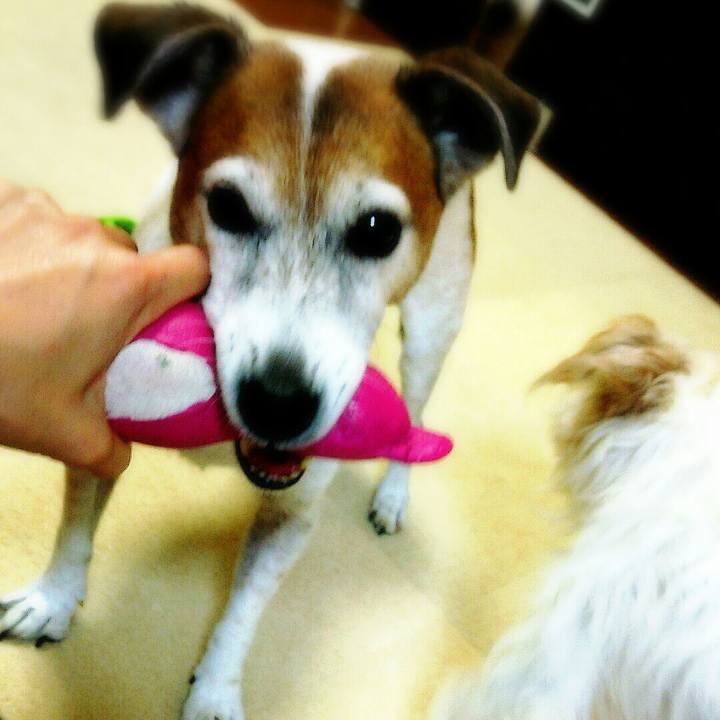 05abd9e7 1060 47f9 a682 ef2df4a2791a