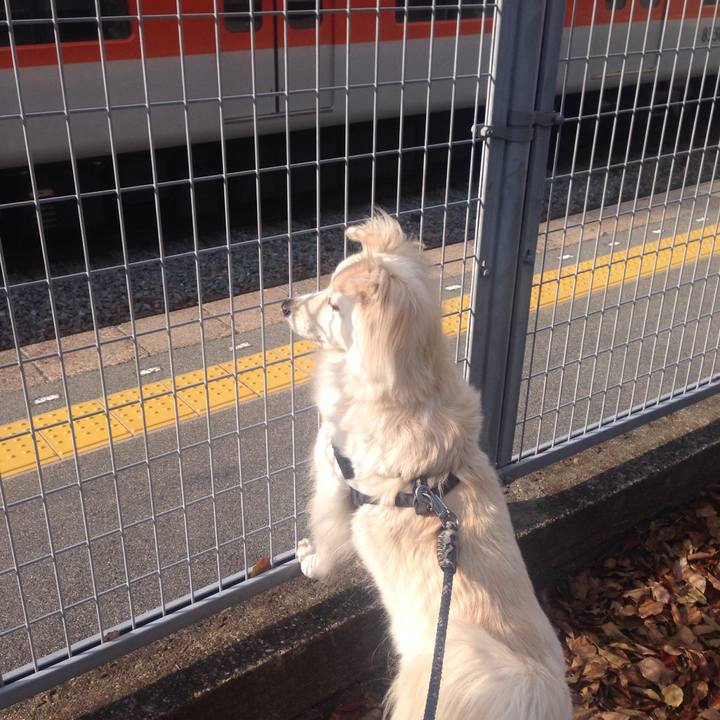 05ac2c20 5a76 4c2b ab3a 2b755f6c2407