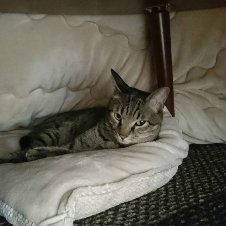 05ac6fa9 c25d 4143 87eb 7c32201fce17