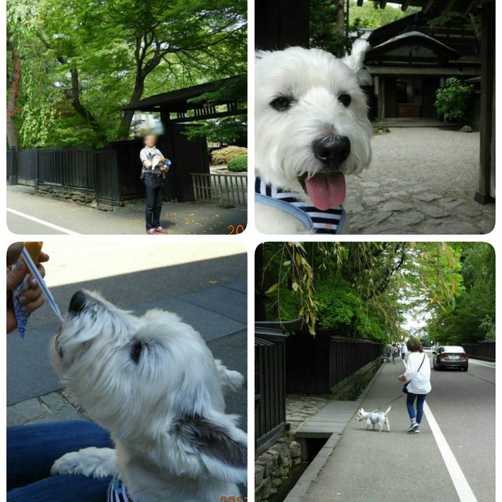 05ac9119 6063 4e0f 9f7b ea6ec82906cf