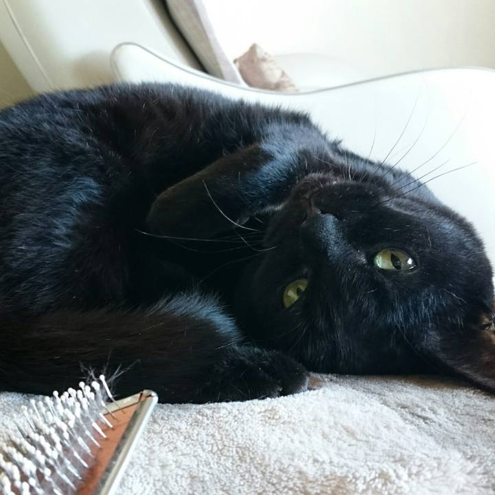 05acb2a8 a04b 48f8 93f6 c21174ec3176