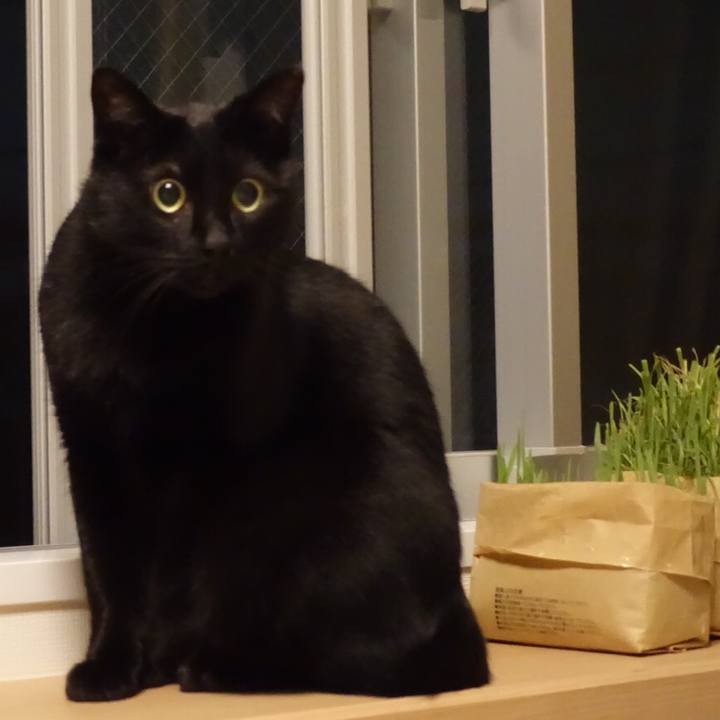 05acc9bc de60 4cc1 afa1 05b1104a39b3