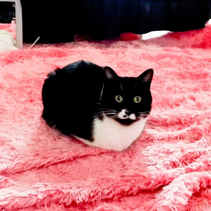 05ad7b53 01fa 4892 b358 05ceaaa48f38