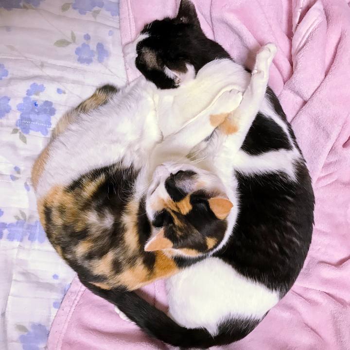 05adc832 5a91 46ea bf87 d5769edad81e