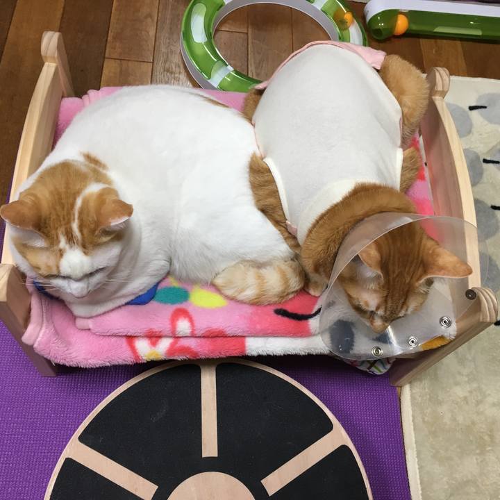 05addefd 2866 49d7 ba99 581058f14836