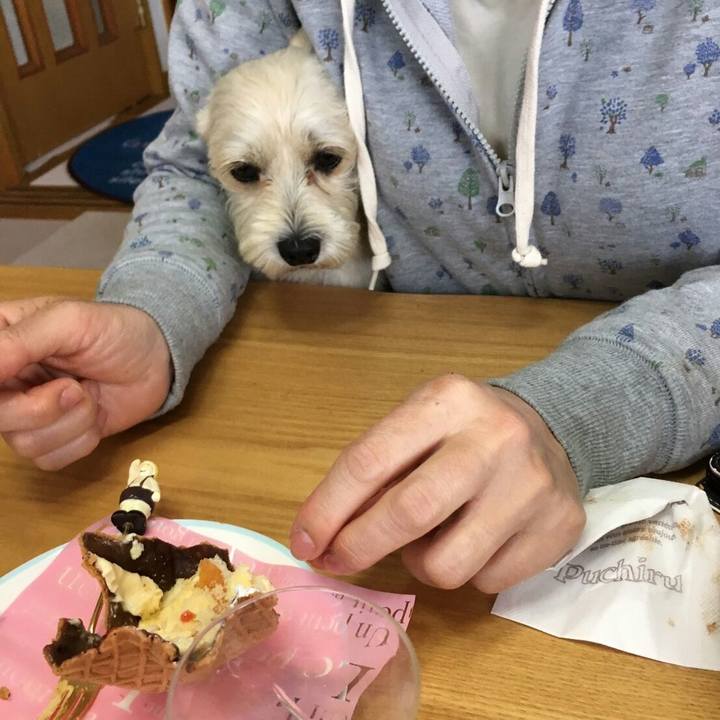 05aded18 bf54 4f34 ad89 25afe2ed0e29