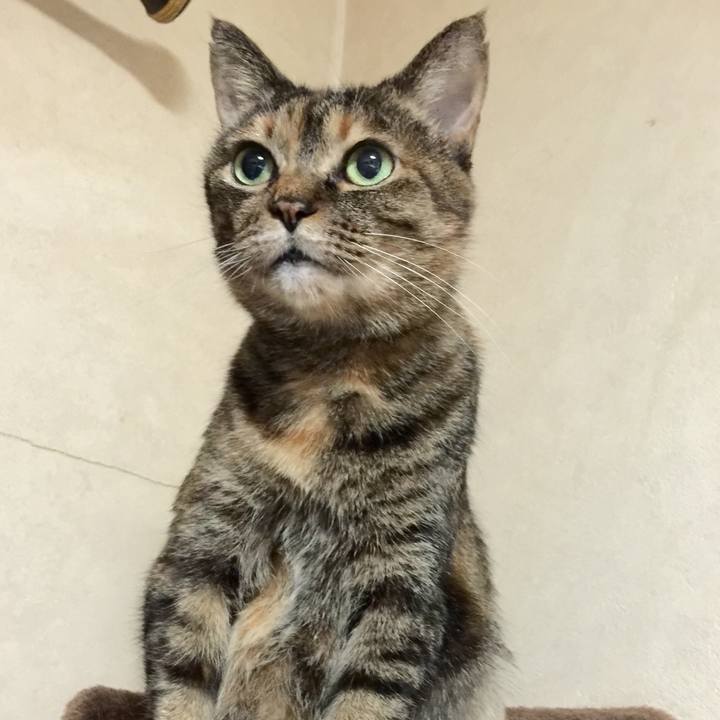 05aed474 2571 4c0f ab85 f4be16422687