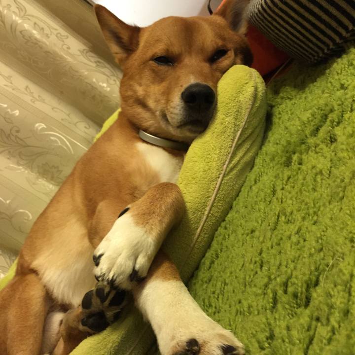 05af14ef e927 4786 94a2 27ad73dac24a