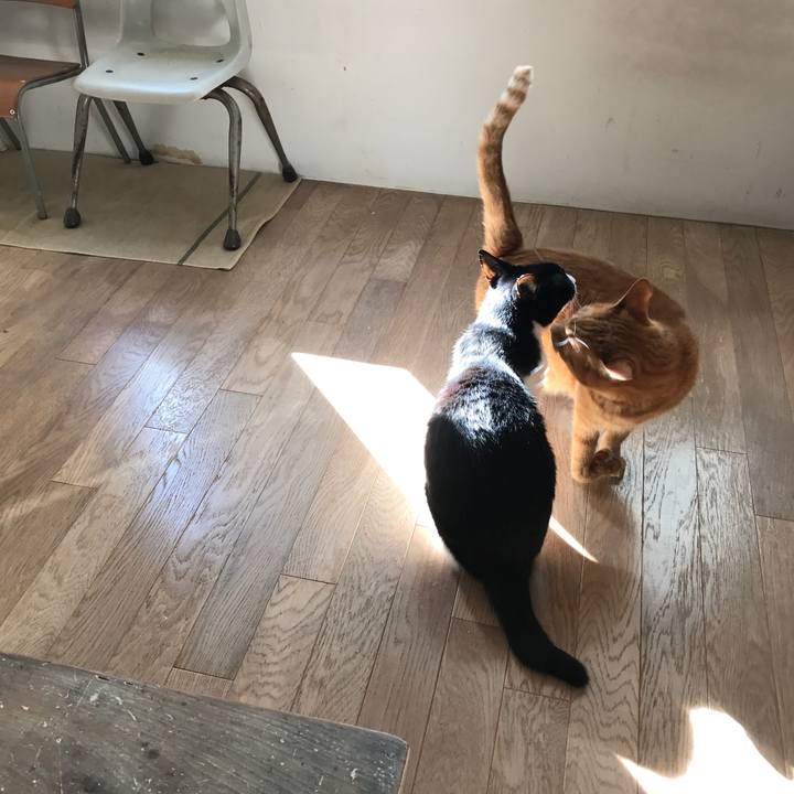 05af7b16 dba6 486e a8fd cfada1ae3767