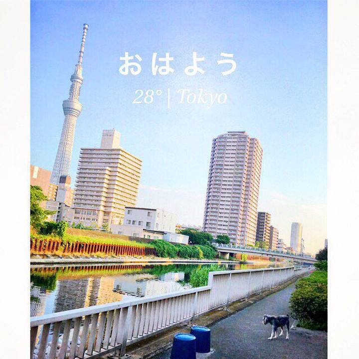 05af9fe2 0c78 4655 9dc4 d47f6042ca67