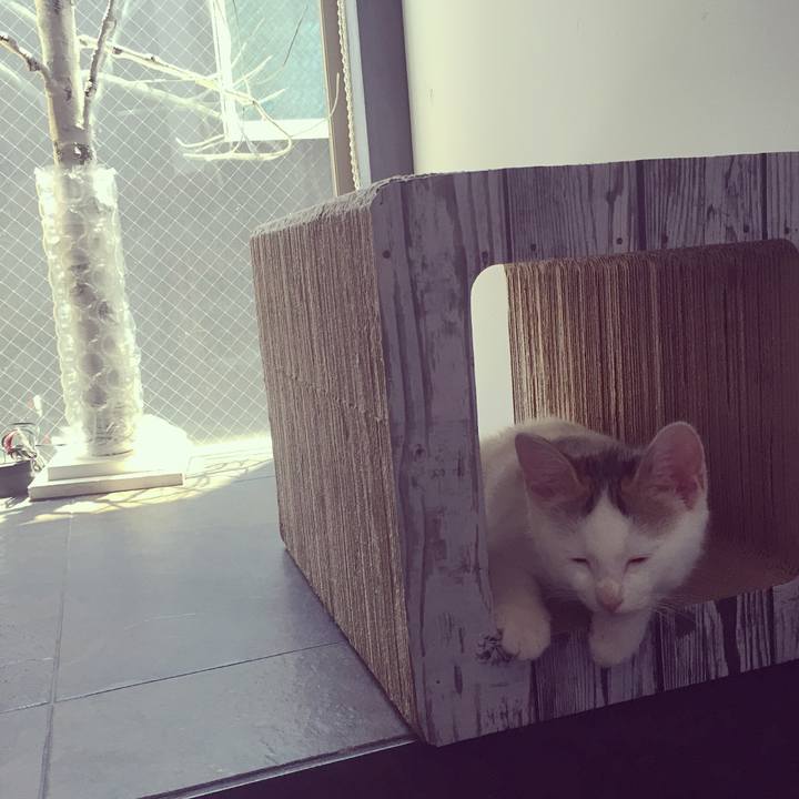 05afff6b 5b46 4d64 ae3c 4f9f77ff3c8b